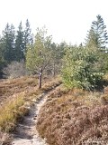 Le sentier d'accès au sommet de Chèvre-Roche depuis le sud